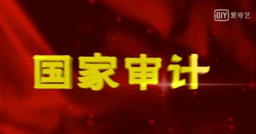 国家审计电视剧在线观看,揭秘电视剧在线观看背后的故事 第3张 国家审计电视剧在线观看,揭秘电视剧在线观看背后的故事 第3张