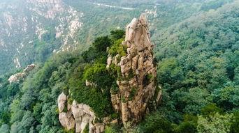 森林泰山在线观看,在线探险之旅,共赴奇幻森林之旅 第2张 森林泰山在线观看,在线探险之旅,共赴奇幻森林之旅 第2张